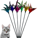 CATENESS Cat Wand Toy feather close-up for interactive indoor play