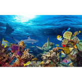 CaterRina Under The Sea backdrop adds vibrant 36x24 inch scenery to enhance aquarium visuals
