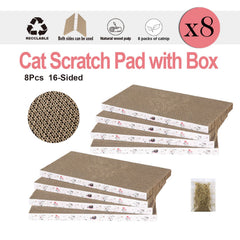 Catinarla cat enjoying scratch pad promotes claw care and play