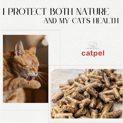 CATPEL pine pellets showing clean, low-dust grains for quicker cleaning sessions.