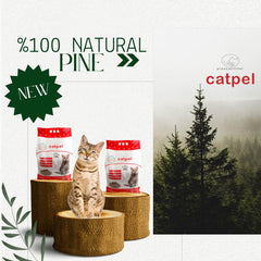CATPEL natural pine pellets close-up highlights biodegradability and chemical-free health-friendly option.