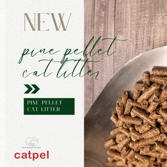 CATPEL pine pellets pouring into a litter container illustrates non-clumping, easy maintenance.