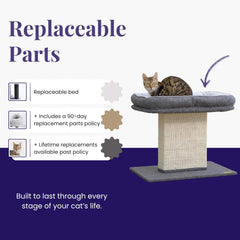 Catry Mellow large sisal post invites satisfying scratching and stretching.