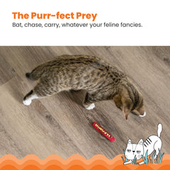 Catstages Green Magic Dynamite Stick catnip toy roll-and-refresh feature keeps scent alive.