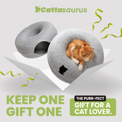 Cattasaurus Peekaboo cat cave detachable tunnel bed simplifies cleaning and hygiene