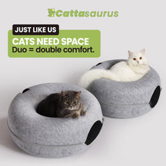 Cattasaurus Peekaboo donut entrance with peephole promotes curious exploration and bonding