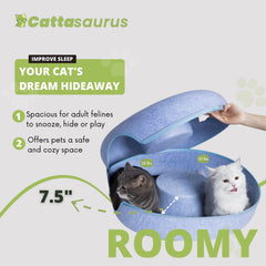 Cattasaurus Peekaboo cat cave peephole window encourages interactive play with your cat.
