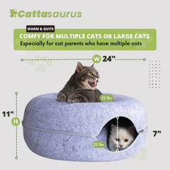 Cattasaurus Peekaboo peephole window invites interactive play for curious cats