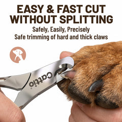 Cattio professional pet care tools shown in clinic setting