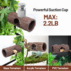 CAVACHEW reptile hide terrarium wood texture close-up highlights realistic habitat