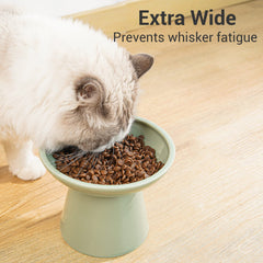 CEEFU whisker-friendly design minimizes whisker contact during meals