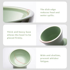 CEEFU raised bowl with five inches tall supports comfortable dining posture