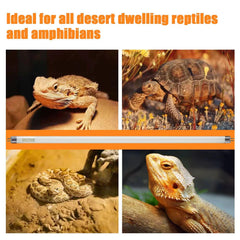 Celiwace lizard UVB bulb 22in enables natural basking behavior