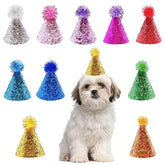 Cellcacn dog birthday hat set in 10 colors ideal for playful pet birthday photos.