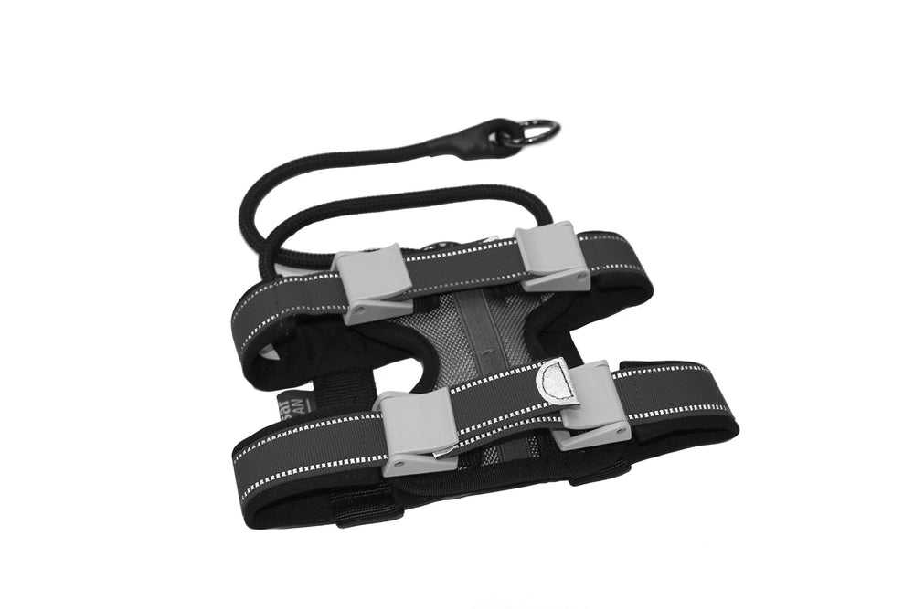 Cesar Millan Pack Leader Collar top view for secure control on daily walks.