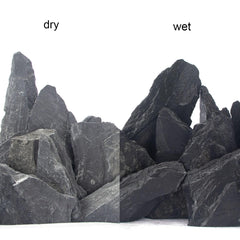 CFKJ 18-pound slate stone showcased in amphibian enclosure for natural hiding spots