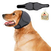 CGPVTSJ No Flap Ear Wraps on a dog during bath time for ear protection and comfort