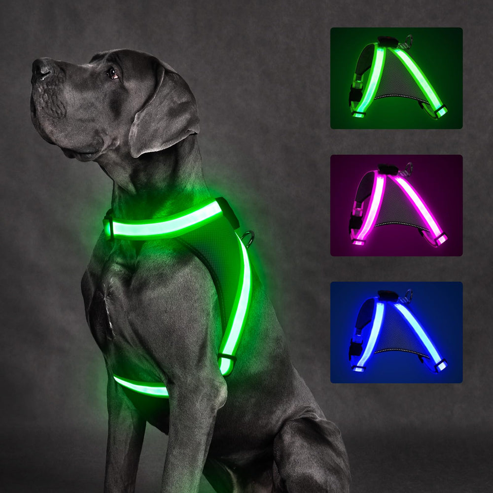 ChalkLit green LED dog harness front view improves night visibility for safer walks.