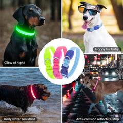 ChalkLit LED collar waterproof build shown for all-weather durability.