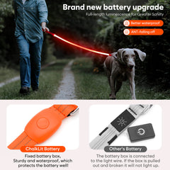 ChalkLit LED dog leash shows its 4 foot length for controlled walking.