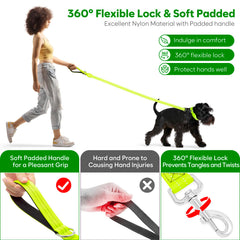 ChalkLit LED dog leash 4ft-length enables easy control during nighttime strolls