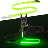 ChalkLit LED dog leash night-visibility showcases bright safety for evening walks
