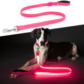 ChalkLit LED dog leash pink full view showing four-foot length
