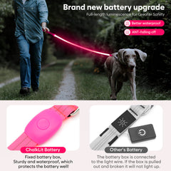 ChalkLit LED dog leash pink waterproof nylon withstands rain