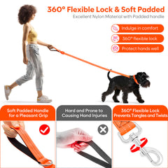 ChalkLit LED dog leash in waterproof nylon stands up to rain.