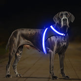ChalkLit light-up harness 360-degree illumination for safer night walks.
