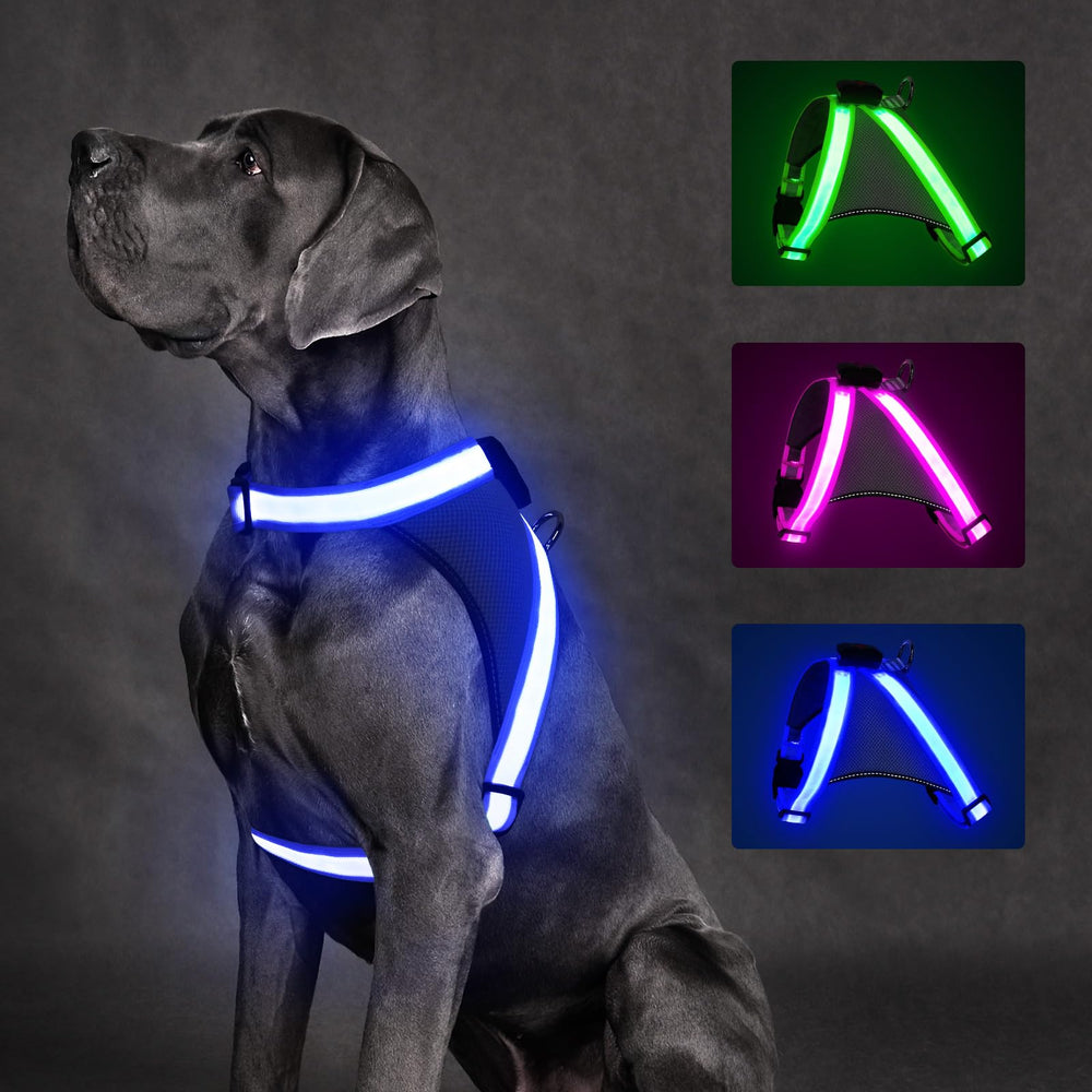 ChalkLit light-up dog harness blue M front view showing bright night visibility