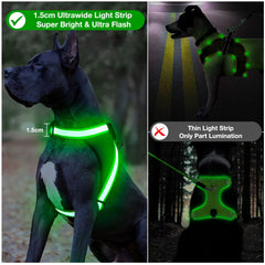ChalkLit light up dog harness green small adjustable straps for perfect fit