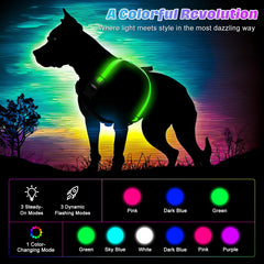 ChalkLit harness on dog during night walk highlighting multicolor LED modes