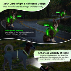ChalkLit no-pull harness with D-ring for secure control.