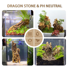 ChaoLeHo Dragon Stone layered-structure closeup for versatile aquascaping