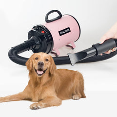 CHAOLUN dog dryer 3-nozzles assembly demonstrates targeted drying and detangling