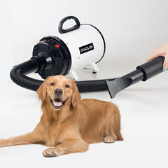 CHAOLUN dryer adjustable speed controls enable tailored drying for different coats.