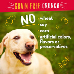 Charlee Bear grain-free treats support digestion-friendly snack options during active days.