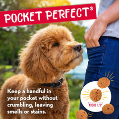 Charlee Bear small-breed treats make training rewards easy for tiny paws.