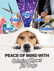 CHARLIE & BUDDY calming chews chamomile blend close-up promoting relaxed moments during vet visits