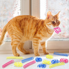Charniol cat-spring-toy pink-action shot highlighting chase and exercise.