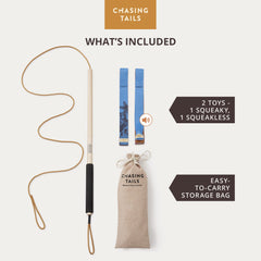 Chasing Tails flirt pole designed for small and medium dogs during playtime.