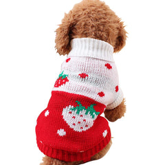 CHBORCHICEN dog sweater red1 front view provides cozy warmth for small dogs