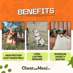 Cheat and Meal Co rawhide-free dog chew demonstrates safe, digestible snack.