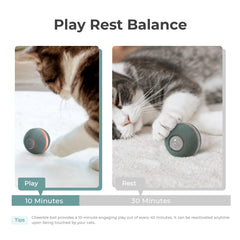 Cheerble Interactive Cat Ball Toy provides three play modes for versatile cats