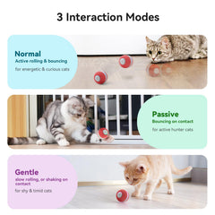 Cheerble Interactive Cat Ball Toy with LED lights sparks chase and light-driven play.