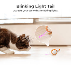 Cheerble USB Rechargeable Cat Toy keeps charging simple and battery-free for longer play.
