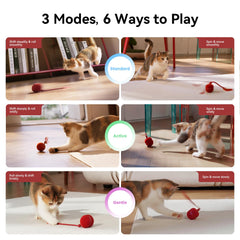 Cheerble Wicked Ball Duo2 dual shells interchangeability highlights adaptability for multi-cat households.