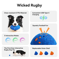 Cheerble Wicked Rugby toy bouncing to energize play sessions.