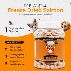 Chef Kitty salmon treat closeup showing crunchy, high-protein bites cats and dogs adore.